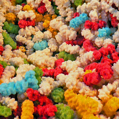 Cannelline con Cuore di Cannella – Delizia Artigianale Siciliana