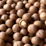 Noci in Guscio Macadamia – Croccanti, Naturali e Genuinamente Gustose